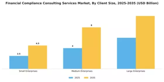Financial Compliance Consulting Services Market Segment Image 1