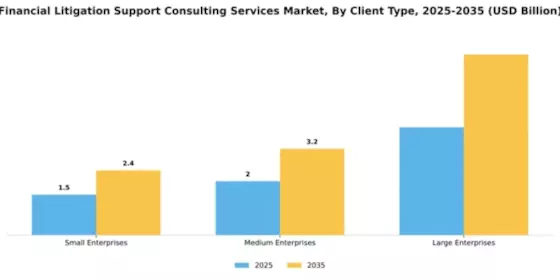 Financial Litigation Support Consulting Services Market Segment Image 1