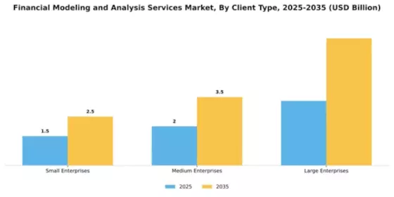 Financial Modeling and Analysis Services Market Segment Image 1