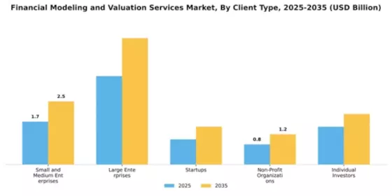 Financial Modeling and Valuation Services Market Segment Image 1