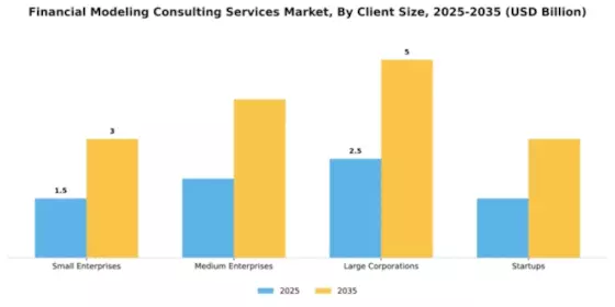 Financial Modeling Consulting Services Market Segment Image 1
