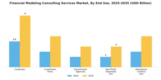 Financial Modeling Consulting Services Market Segment Image 2