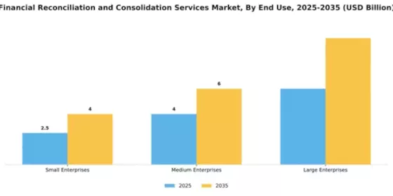 Financial Reconciliation and Consolidation Services Market Segment Image 2