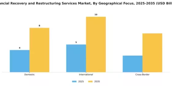 Financial Recovery and Restructuring Services Market Segment Image 2