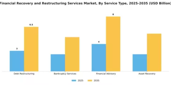Financial Recovery and Restructuring Services Market Segment Image 4