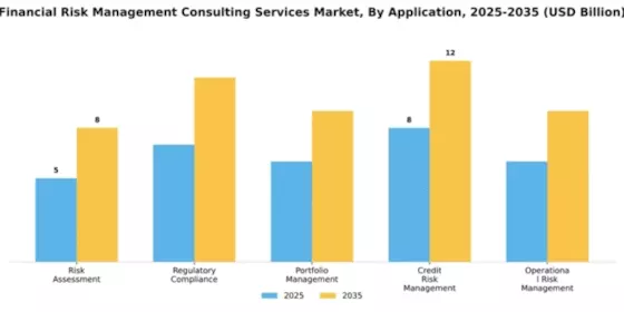 Financial Risk Management Consulting Services Market Segment Image 0