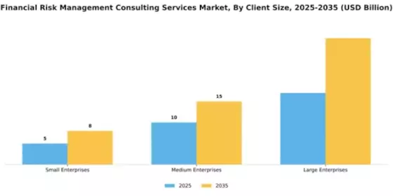 Financial Risk Management Consulting Services Market Segment Image 1