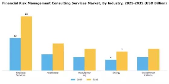 Financial Risk Management Consulting Services Market Segment Image 3