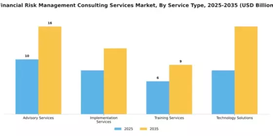 Financial Risk Management Consulting Services Market Segment Image 4