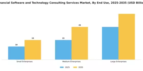 Financial Software and Technology Consulting Services Market Segment Image 2