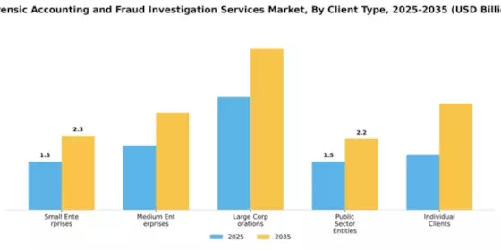 Forensic Accounting and Fraud Investigation Services Market Segment Image 1