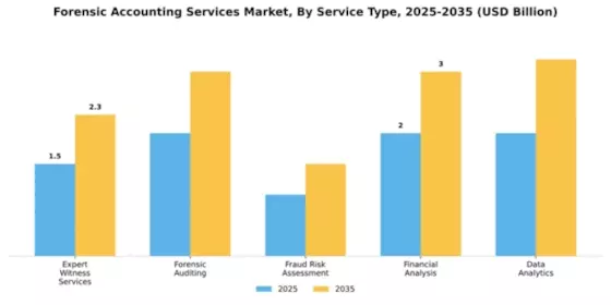 Forensic Accounting Services Market Segment Image 4