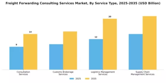 Freight Forwarding Consulting Services Market Segment Image 2