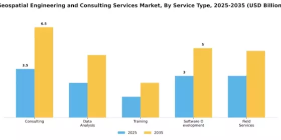 Geospatial Engineering and Consulting Services Market Segment Image 3