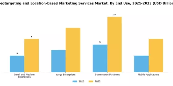 Geotargeting and Location-based Marketing Services Market Segment Image 3