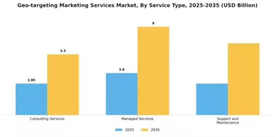 Geo-targeting Marketing Services Market Segment Image 3