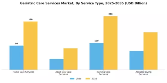 Geriatric Care Services Market Segment Image 4