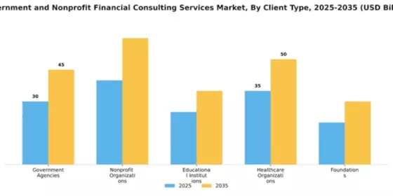 Government and Nonprofit Financial Consulting Services Market Segment Image 0