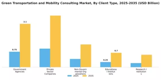 Green Transportation and Mobility Consulting Market Segment Image 1