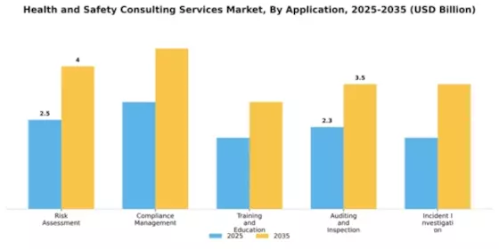 Health and Safety Consulting Services Market Segment Image 0