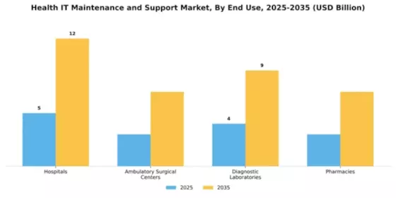 Health IT Maintenance and Support Market Segment Image 2