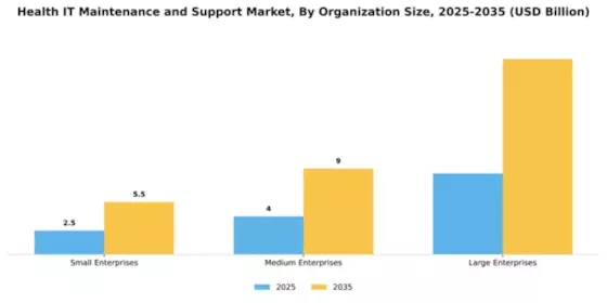 Health IT Maintenance and Support Market Segment Image 3