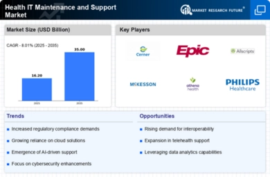 Health IT Maintenance and Support Market Infographic