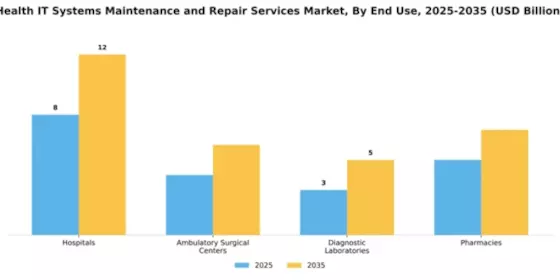 Health IT Systems Maintenance and Repair Services Market Segment Image 2
