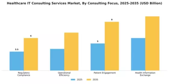 Healthcare IT Consulting Services Market Segment Image 0