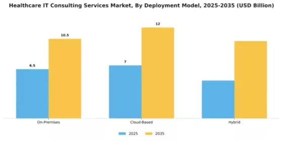 Healthcare IT Consulting Services Market Segment Image 1
