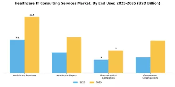 Healthcare IT Consulting Services Market Segment Image 2