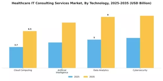 Healthcare IT Consulting Services Market Segment Image 4
