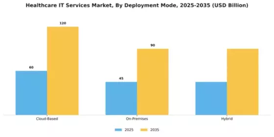Healthcare IT Services Market Segment Image 1