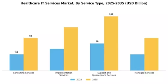 Healthcare IT Services Market Segment Image 3
