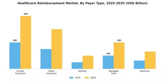 Healthcare Reimbursement Market Segment Image 1