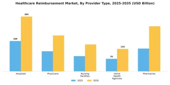 Healthcare Reimbursement Market Segment Image 3