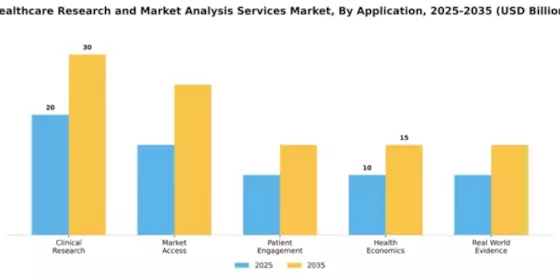 Healthcare Research and Market Analysis Services Market Segment Image 0