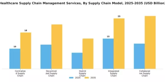 Healthcare Supply Chain Management Services Market Segment Image 3