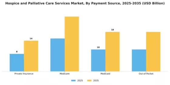 Hospice and Palliative Care Services Market Segment Image 3