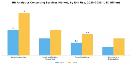 HR Analytics Consulting Services Market Segment Image 3