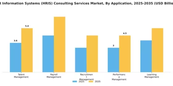 HR Information Systems (HRIS) Consulting Services Market Segment Image 0