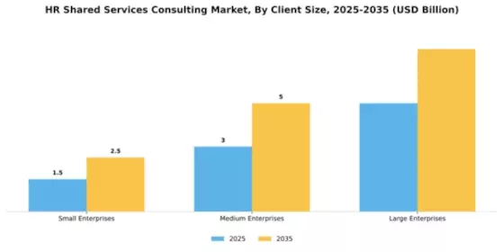 HR Shared Services Consulting Market Segment Image 0