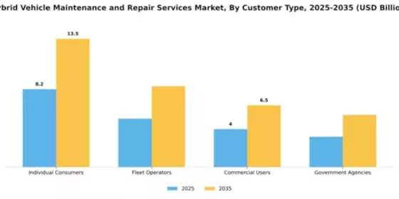 Hybrid Vehicle Maintenance and Repair Services Market Segment Image 0
