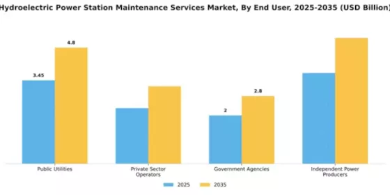 Hydroelectric Power Station Maintenance Services Market Segment Image 1