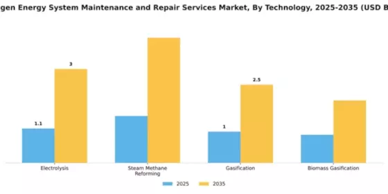 Hydrogen Energy System Maintenance and Repair Services Market Segment Image 4