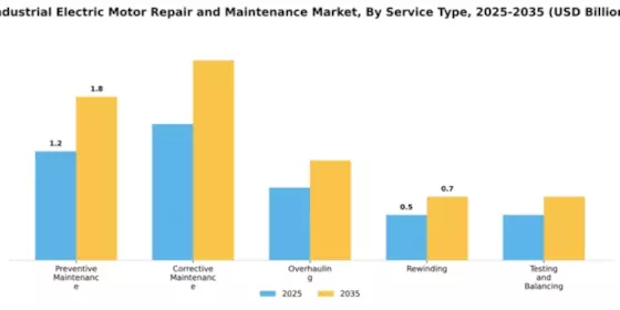 Industrial Electric Motor Repair and Maintenance Market Segment Image 3