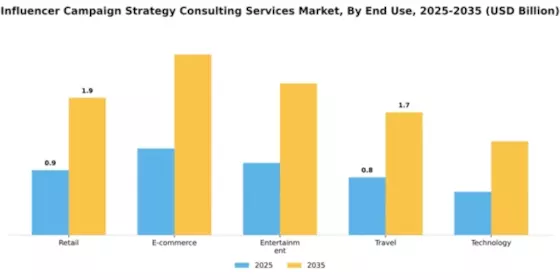 Influencer Campaign Strategy Consulting Services Market Segment Image 1