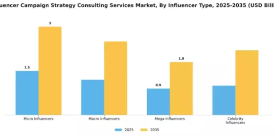 Influencer Campaign Strategy Consulting Services Market Segment Image 2
