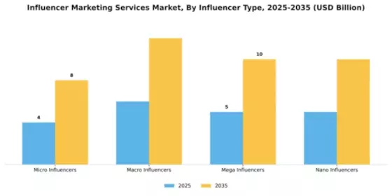 Influencer Marketing Services Market Segment Image 2