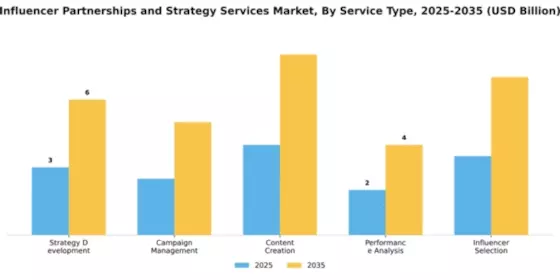 Influencer Partnerships and Strategy Services Market Segment Image 4